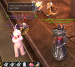 214213213.png